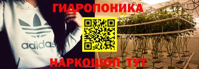 apvp Краснознаменск