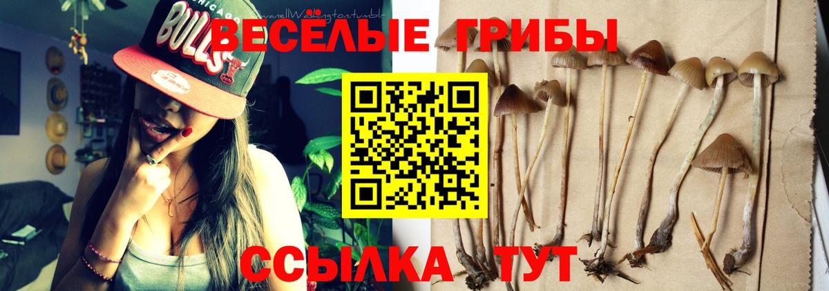 Заволжье  Галлюциногенные грибы мухоморы  Вход с VPN 